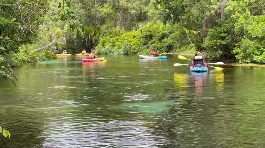 kayaking weeki river b-roll_0300