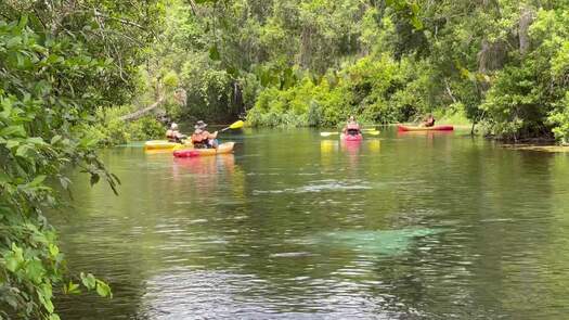 kayaking weeki river b-roll_0297