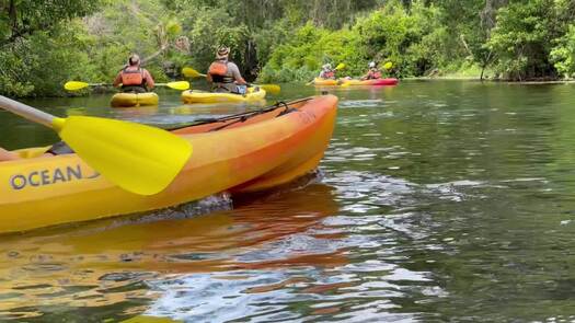 kayaking weeki river b-roll_0306