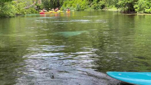 kayaking weeki river b-roll_0307