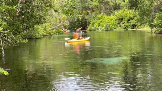 kayaking weeki river b-roll_0301