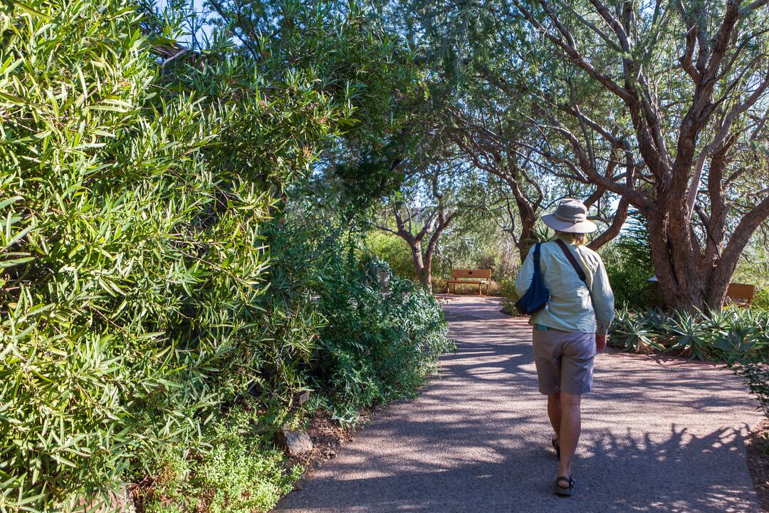 Arizona-Sonora Desert Museum