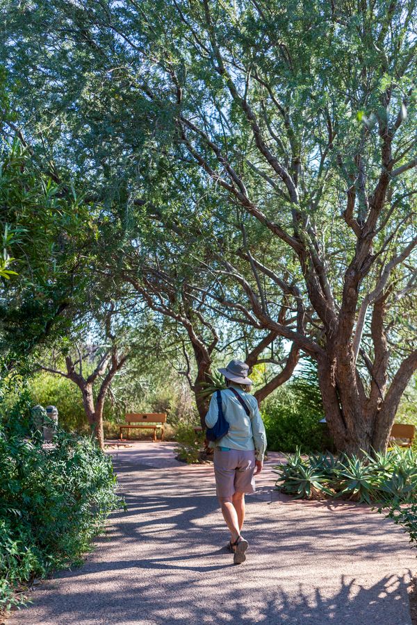 Arizona-Sonora Desert Museum, Tucson_credit Andrés Lobato