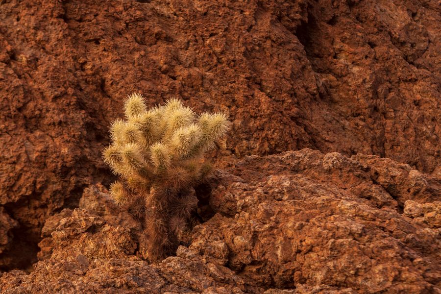 Gates Pass, Tucson_credit