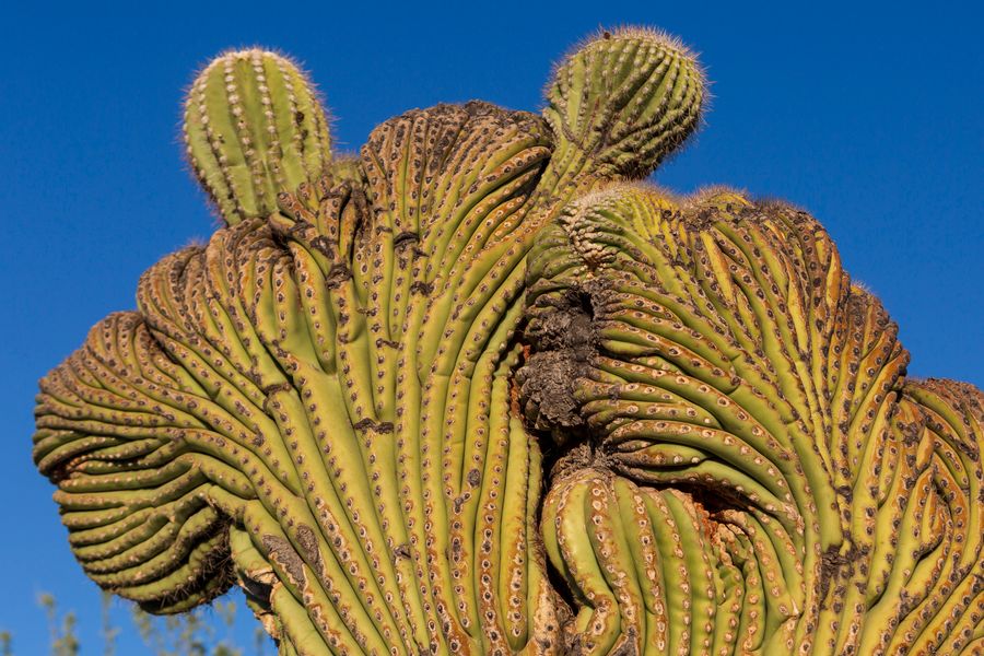 Gates Pass, Tucson_credit Andrés Lobato