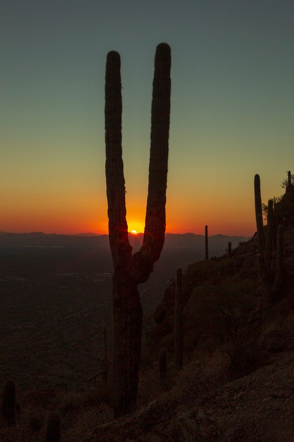 Gates Pass, Tucson_credit