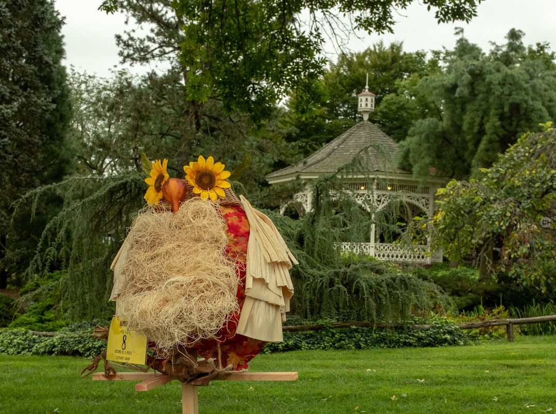 Scarecrows in the Village