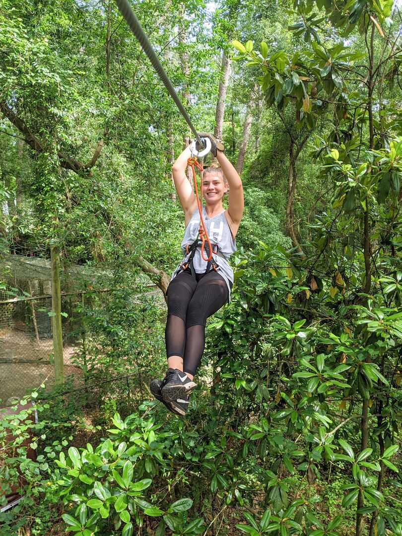 Tree to Tree Adventure Zip Line