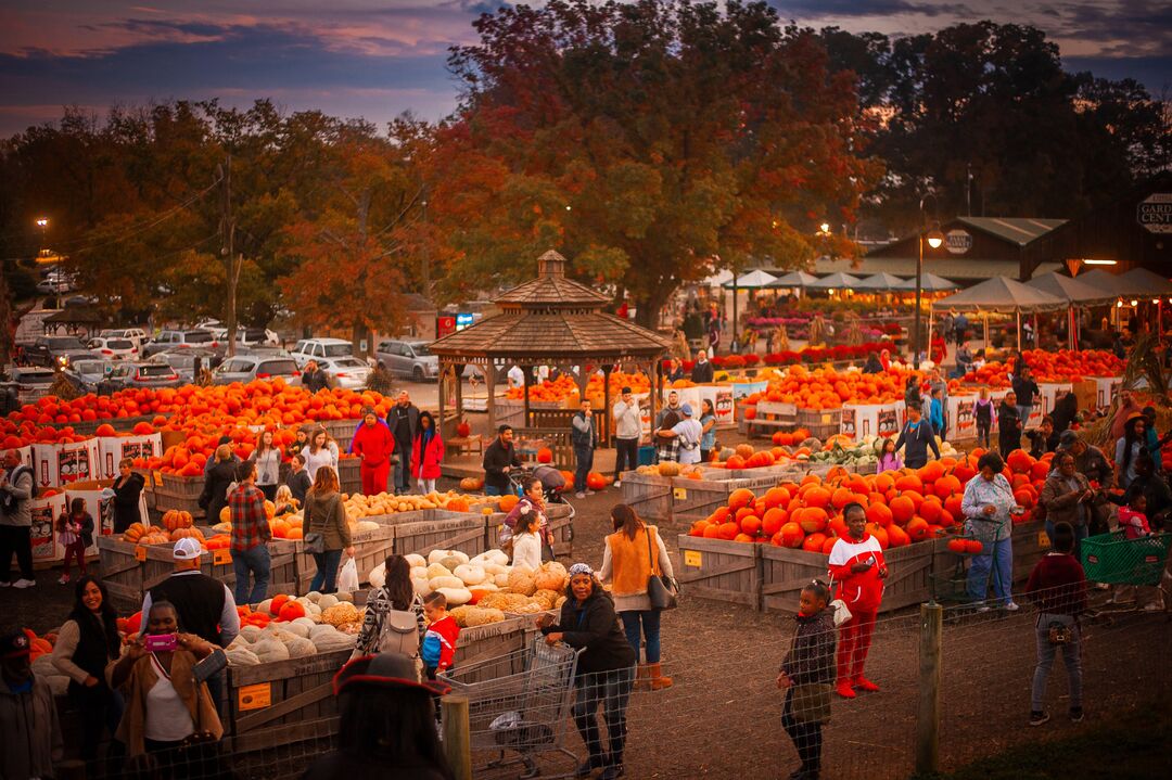 Linvilla Orchards