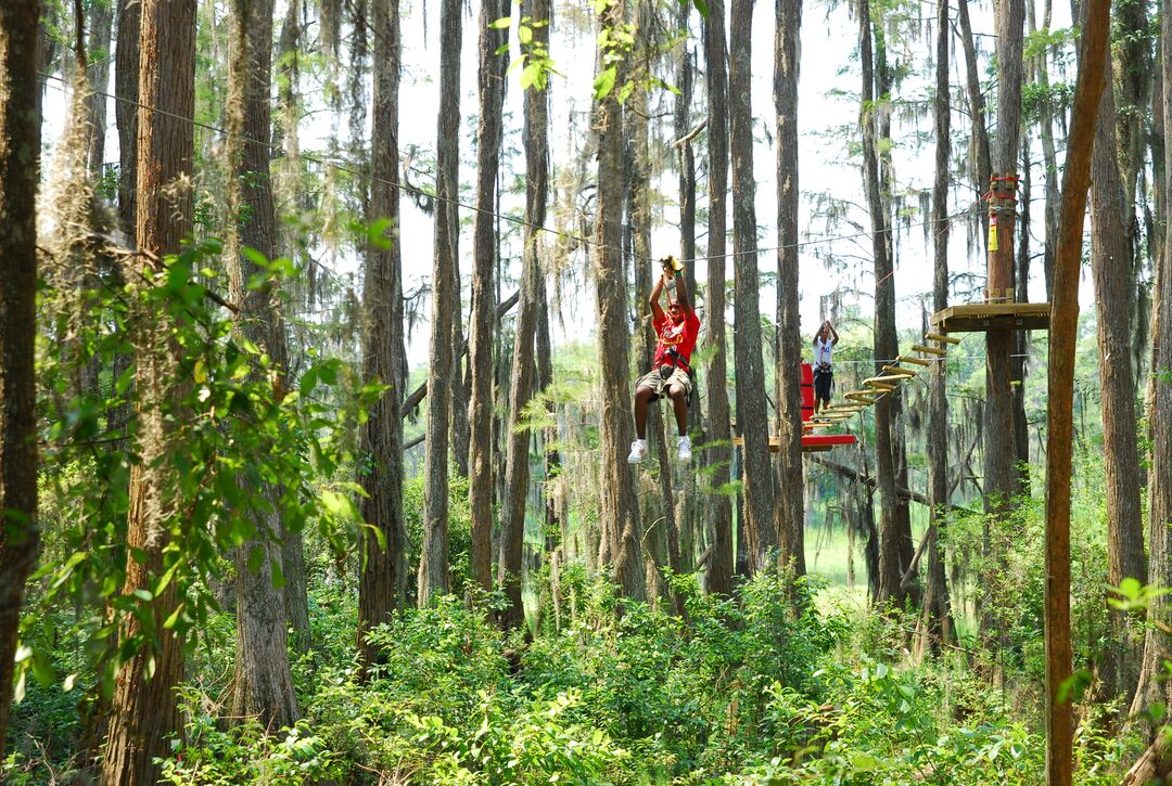 Tree to Tree Adventure Zip Line