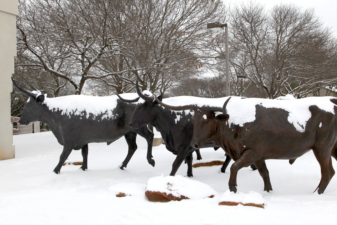 Waco - Bronze Statues - Snow 02-04-11 06