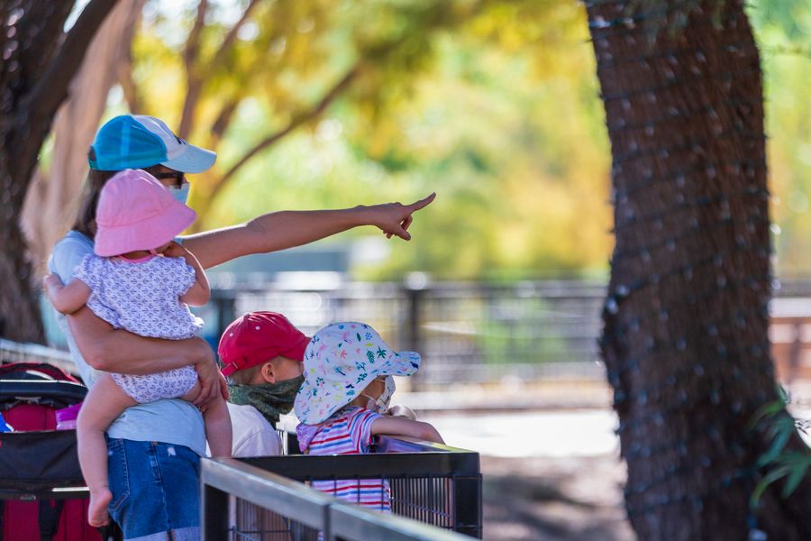 Reid Park Zoo, Tucson_Credit Andrés Lobato