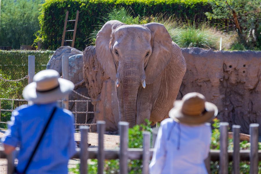 Reid Park Zoo, Tucson_credit Andrés Lobato