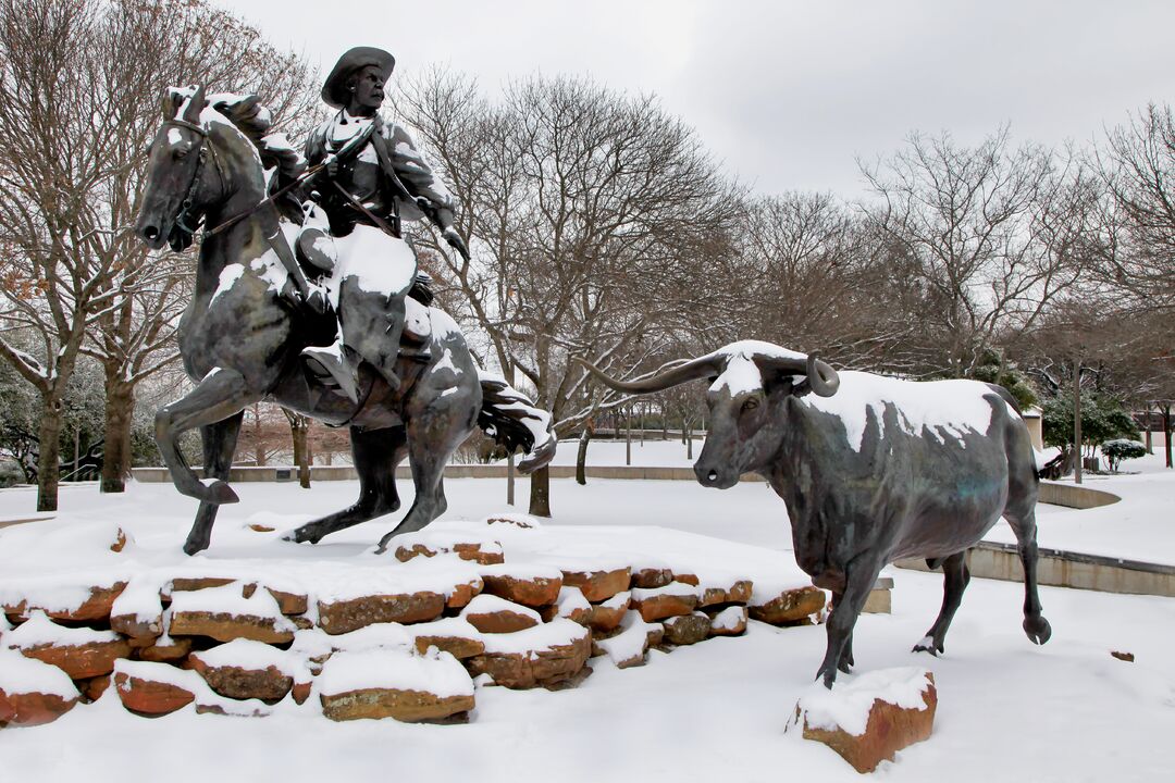 Waco - Bronze Statues - Snow 02-04-11 10
