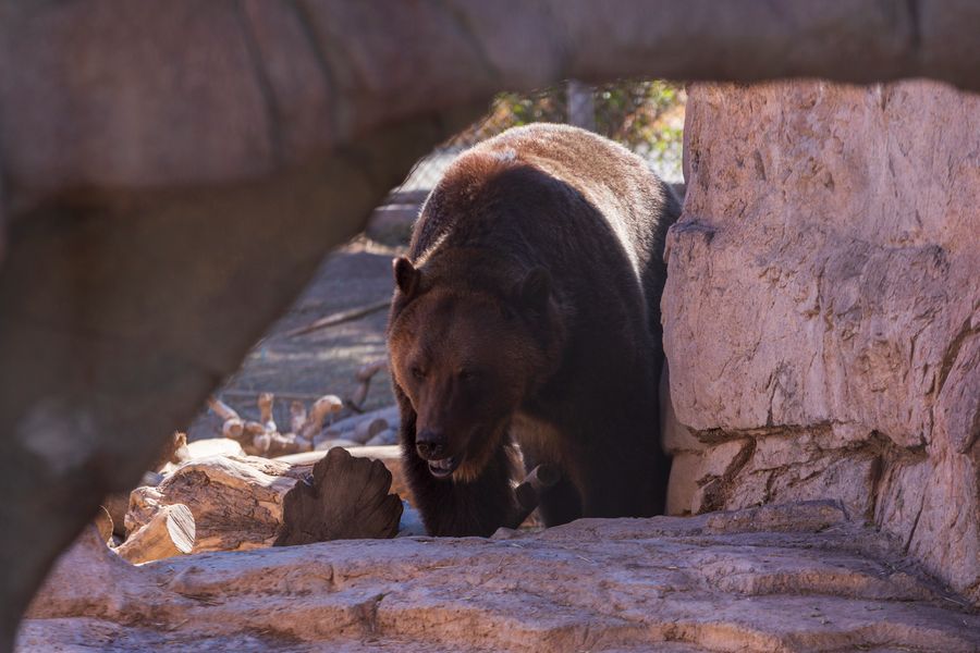 Reid Park Zoo, Tucson_credit Andrés Lobato