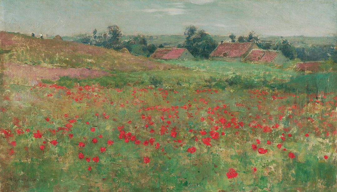 Brandywine River Art Museum Poppy Field