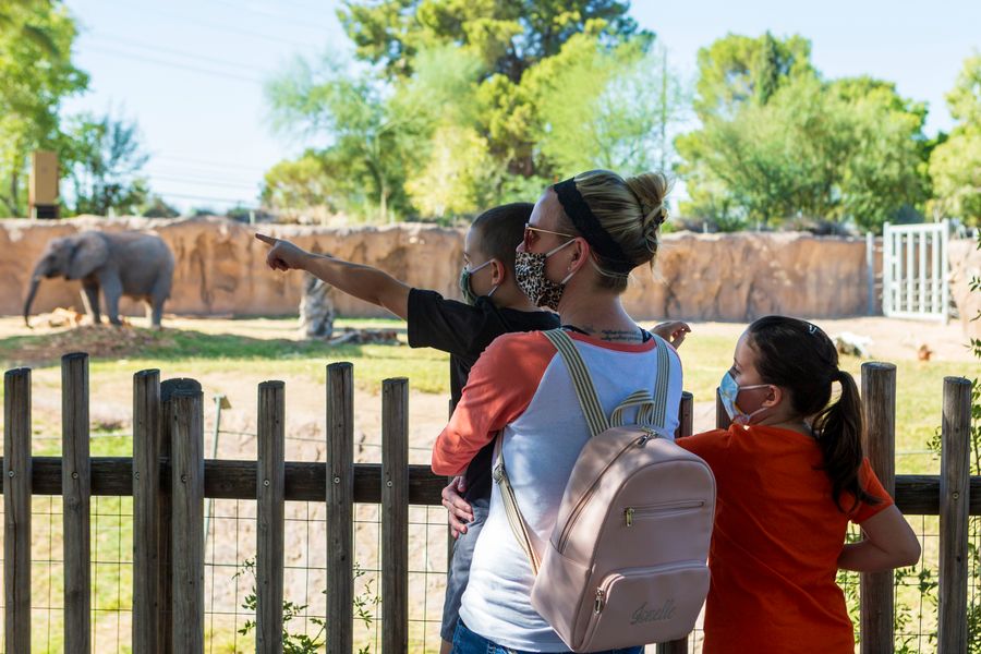 Reid Park Zoo, Tucson_Credit Andrés Lobato