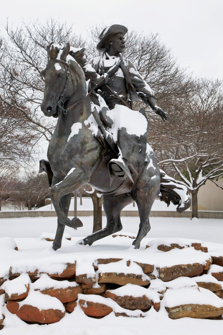 Waco - Bronze Statues - Snow 07