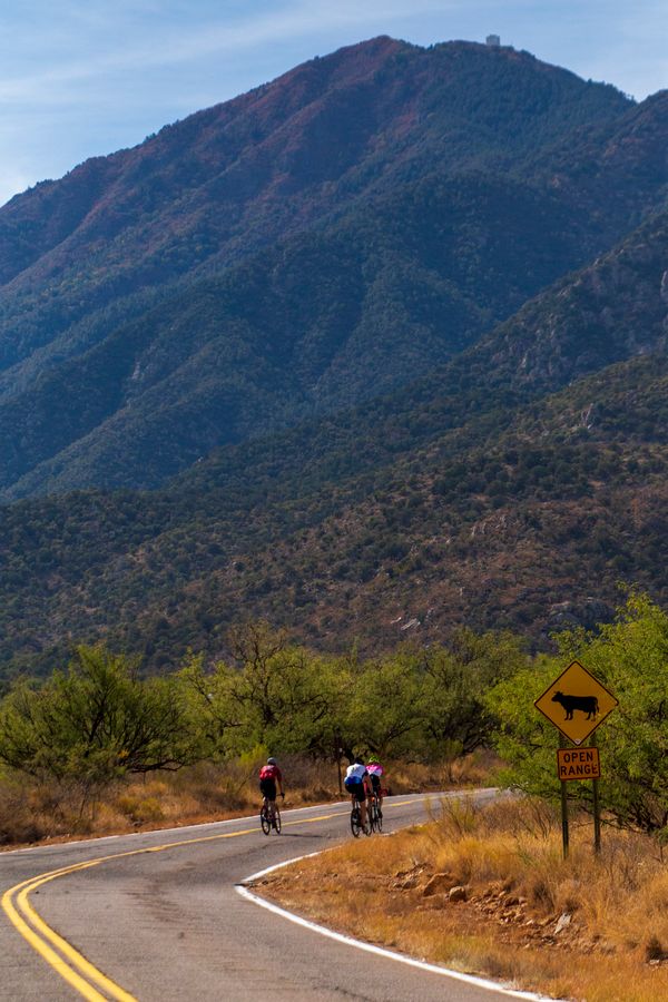 Madera Canyon_credit Andrés Lobato