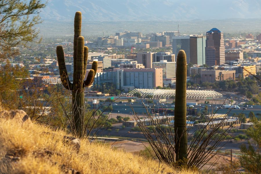 Sentinel Peak,Tucson_Credit Andrés Lobato