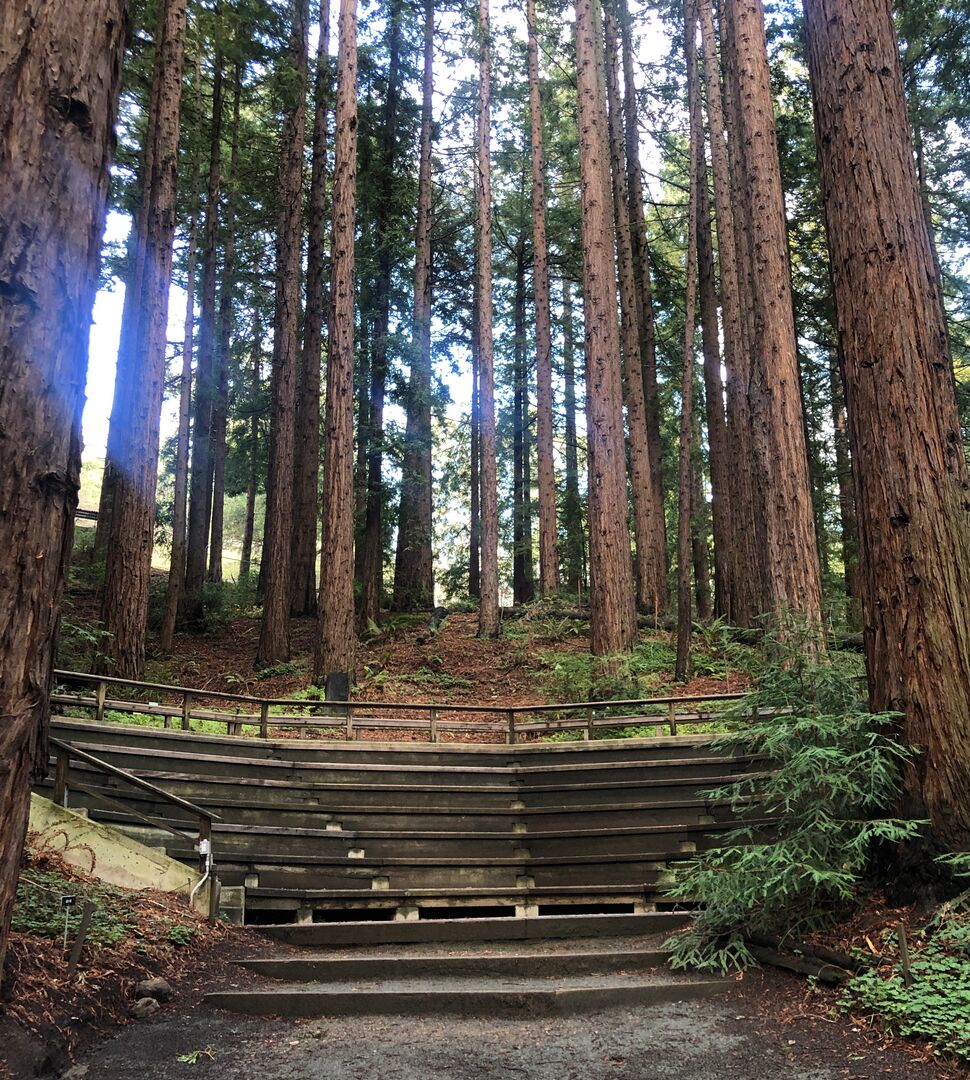 RNS UC Berkeley Redwoods 05242021