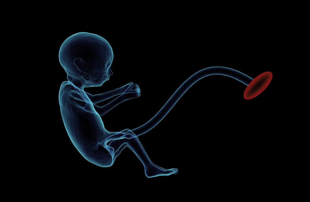 RNS-Fetus-Illustration1 070121
