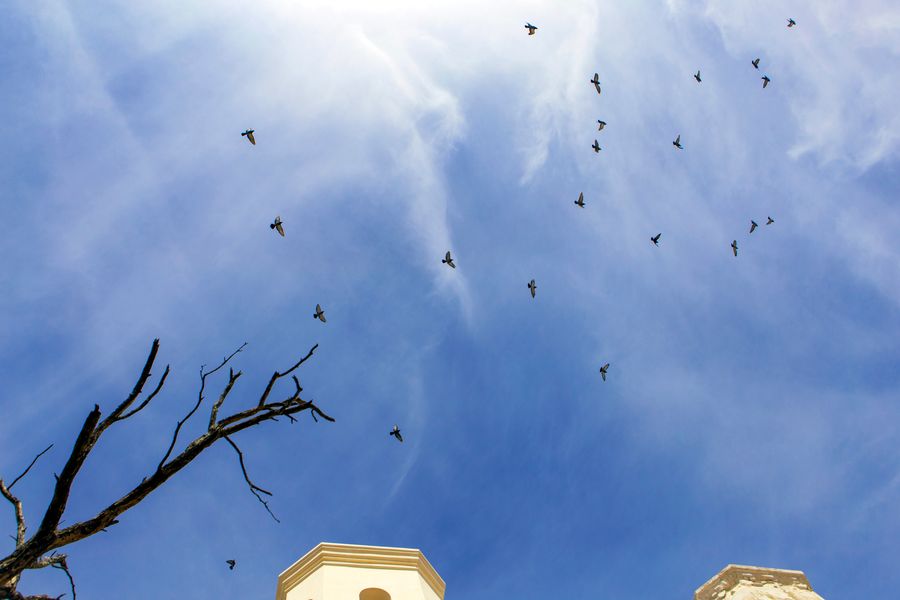 San Xavier del Bac Mission