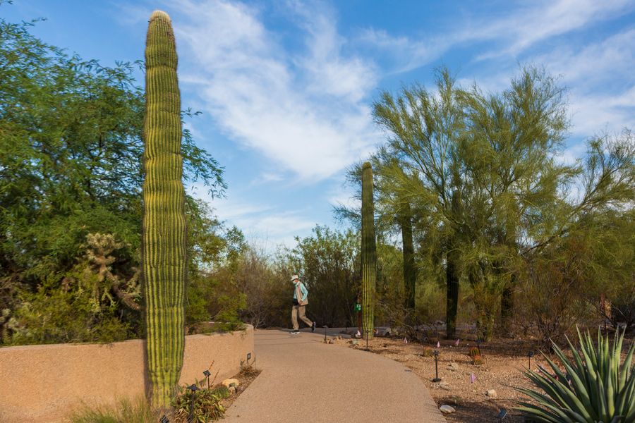 Tohono Chul, Tucson_credit Andrés Lobato