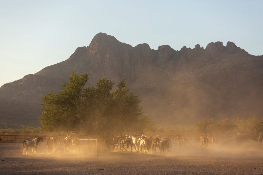 White Stallion Ranch, Tucson_credit Andrés Lobato