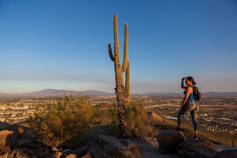 Tumamoc Hill, Tucson_Credit Andrés Lobato