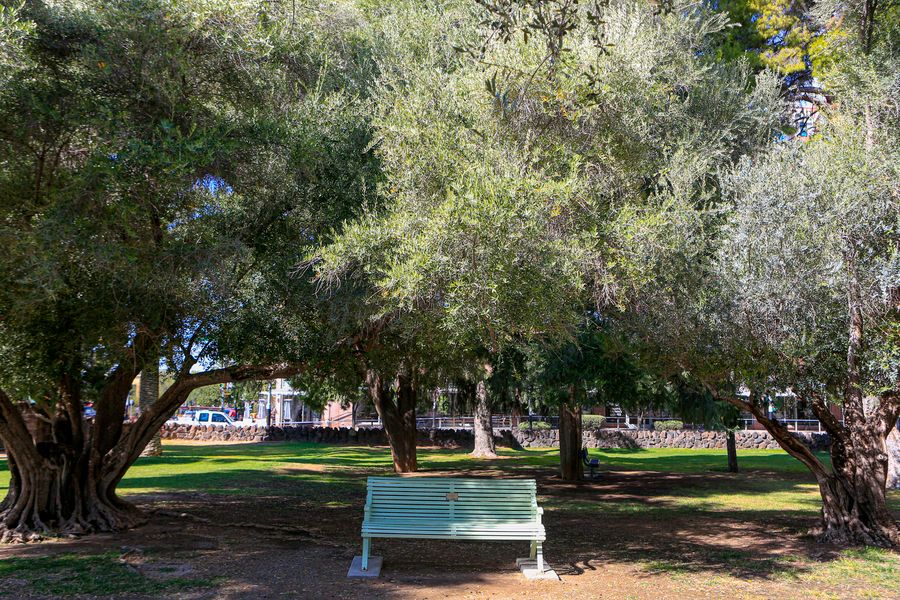 University of Arizona, Tucson_credit Andrés Lobato