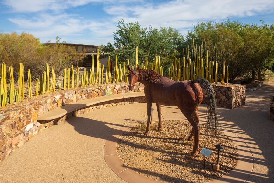 Tohono Chul, Tucson_ Credit Andrés Lobato