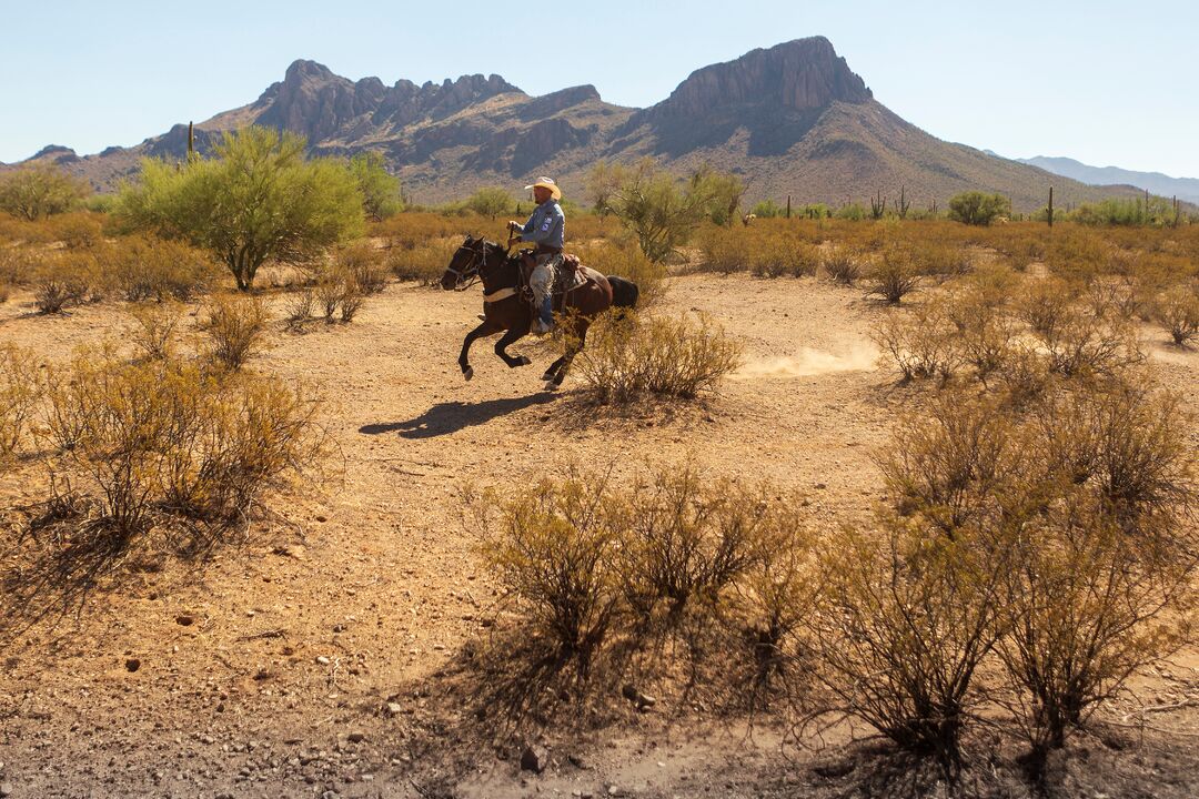 White Stallion Ranch