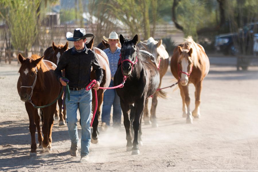 White Stallion Ranch, Tucson_credit Andrés Lobato