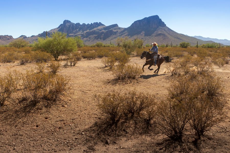 White Stallion Ranch, Tucson_credit Andrés Lobato