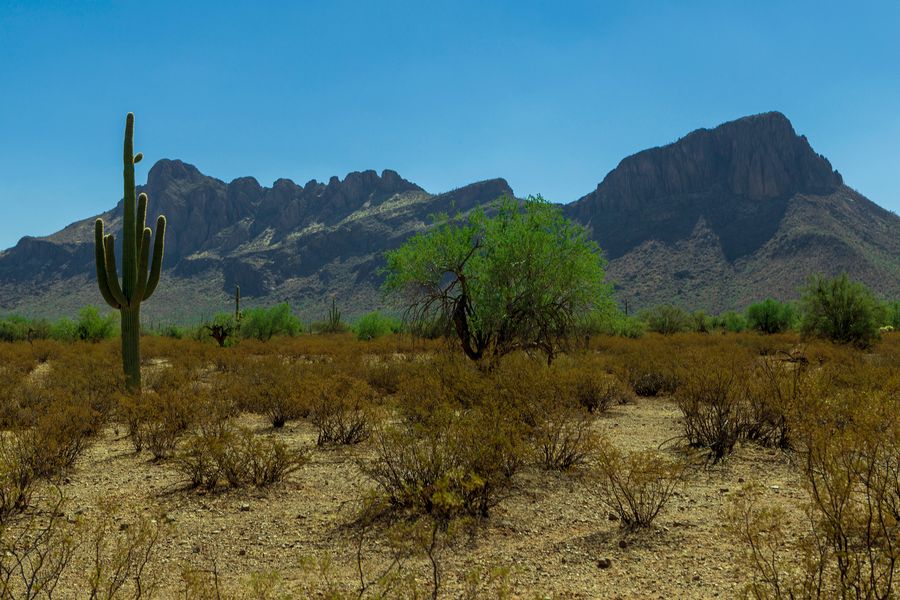 White Stallion Ranch, Tucson_credit Andrés Lobato