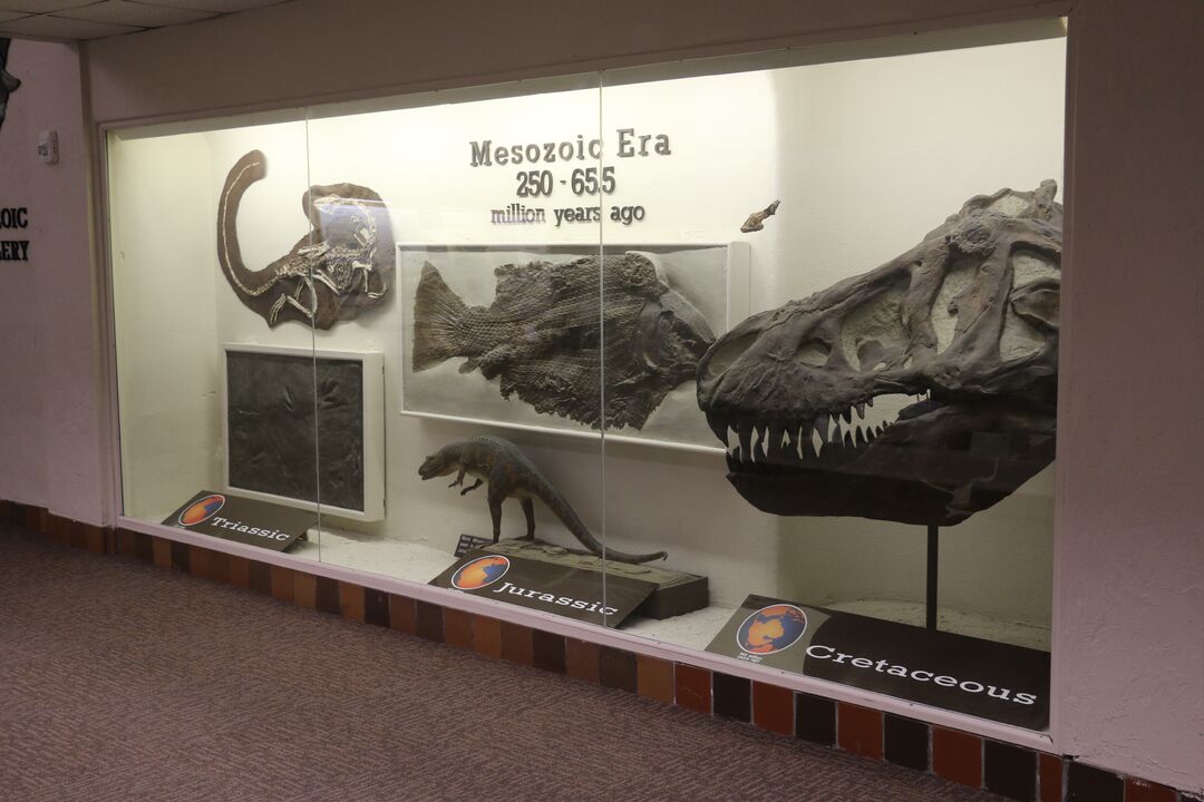 Nebraska State Museum