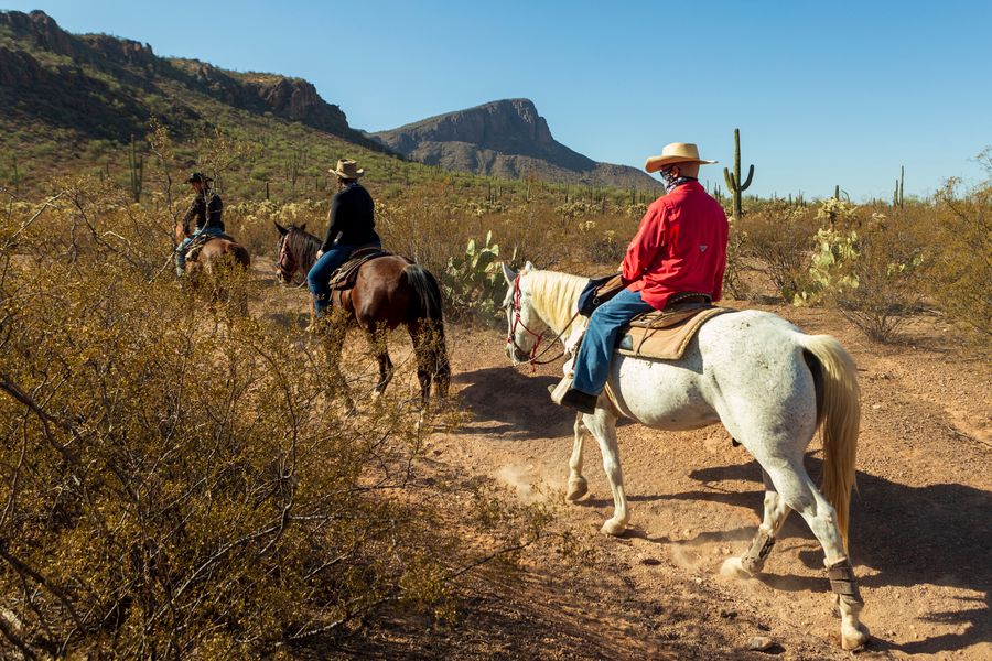 White Stallion Ranch, Tucson_credit Andrés Lobato