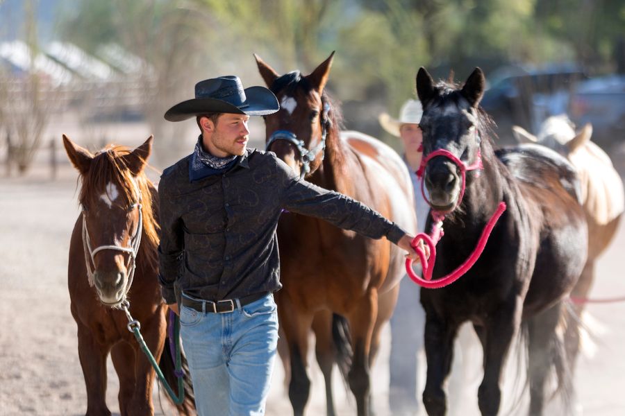 White Stallion Ranch, Tucson_credit Andrés Lobato