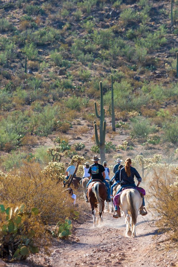 White Stallion Ranch, Tucson_credit Andrés Lobato