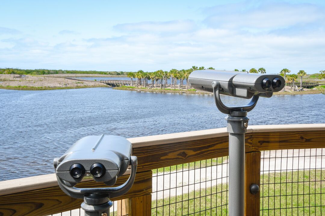 Robinson Preserve