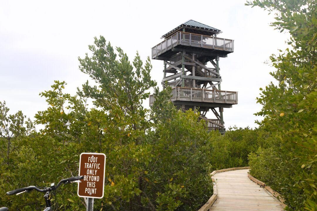 Robinson Preserve
