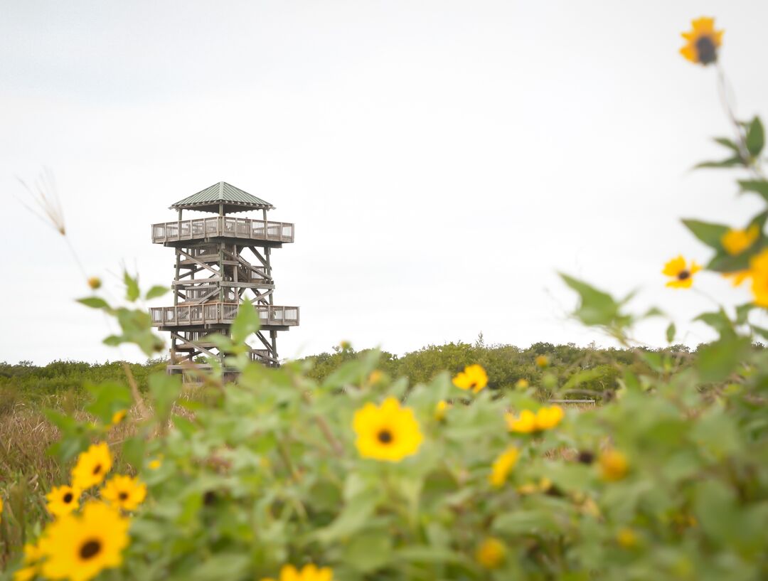 Robinson Preserve