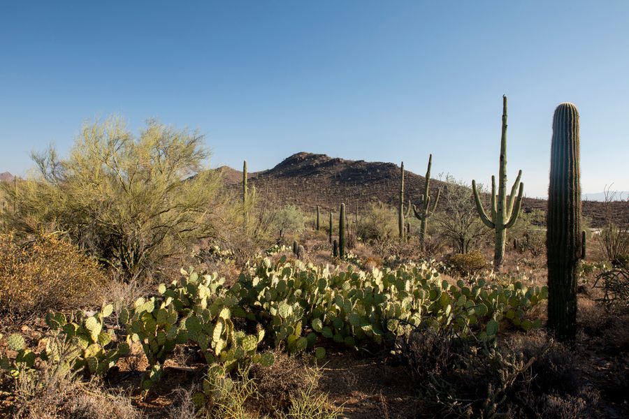 Gates Pass, Tucson_credit Enrique Noriega