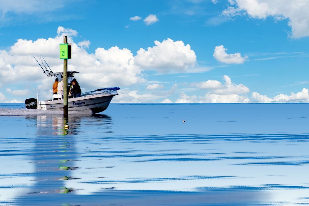 Hernando Gulf of Mexico