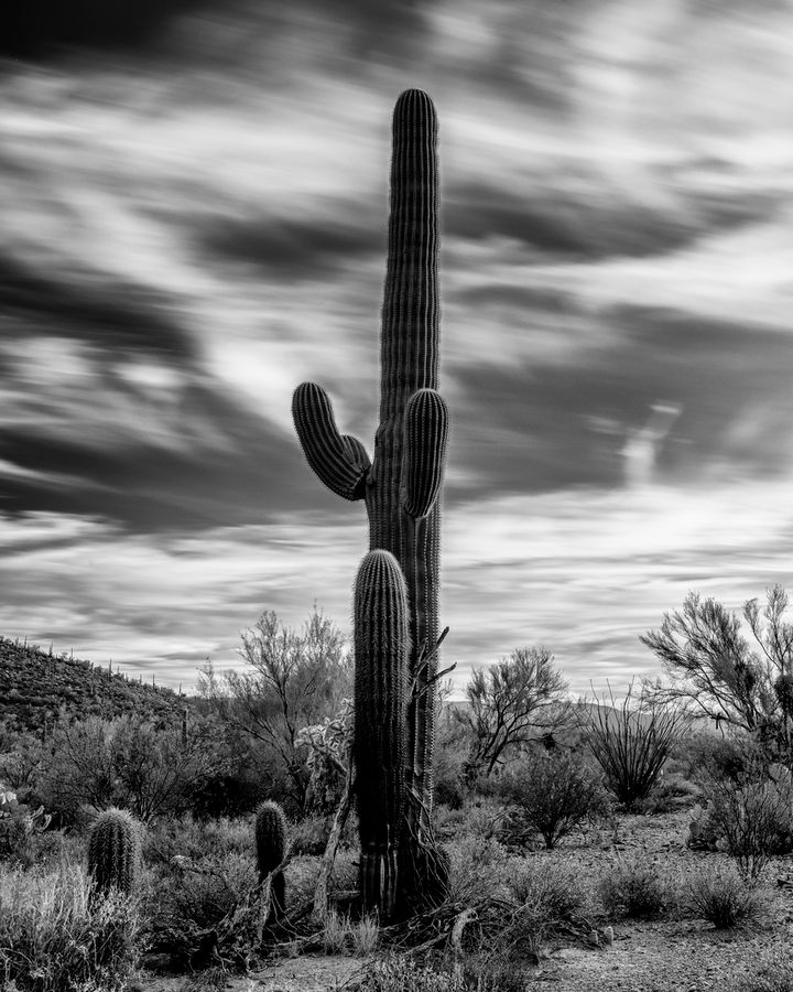 Reid Park Zoo, Tucson_credit Enrique Noriega