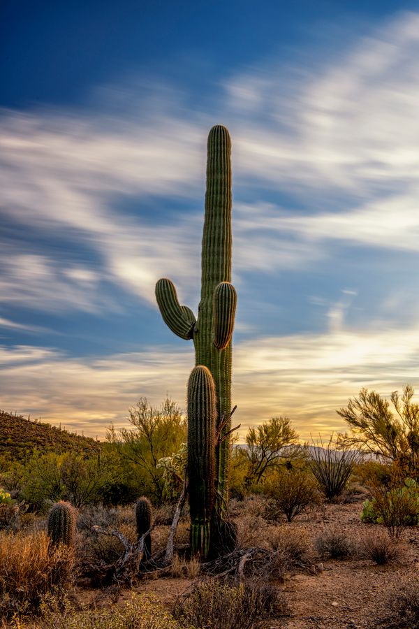 Reid Park Zoo, Tucson_credit Enrique Noriega