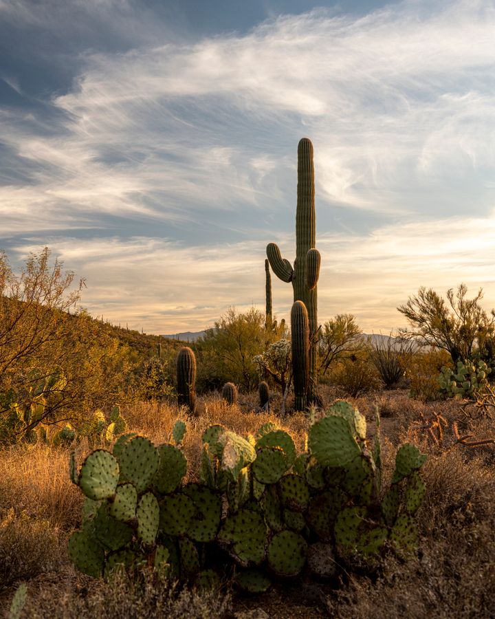 Reid Park Zoo, Tucson_credit Enrique Noriega