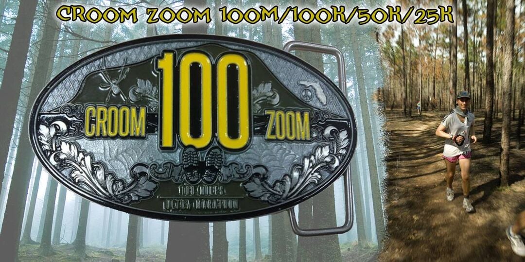 Croom Zoom Logo Banner