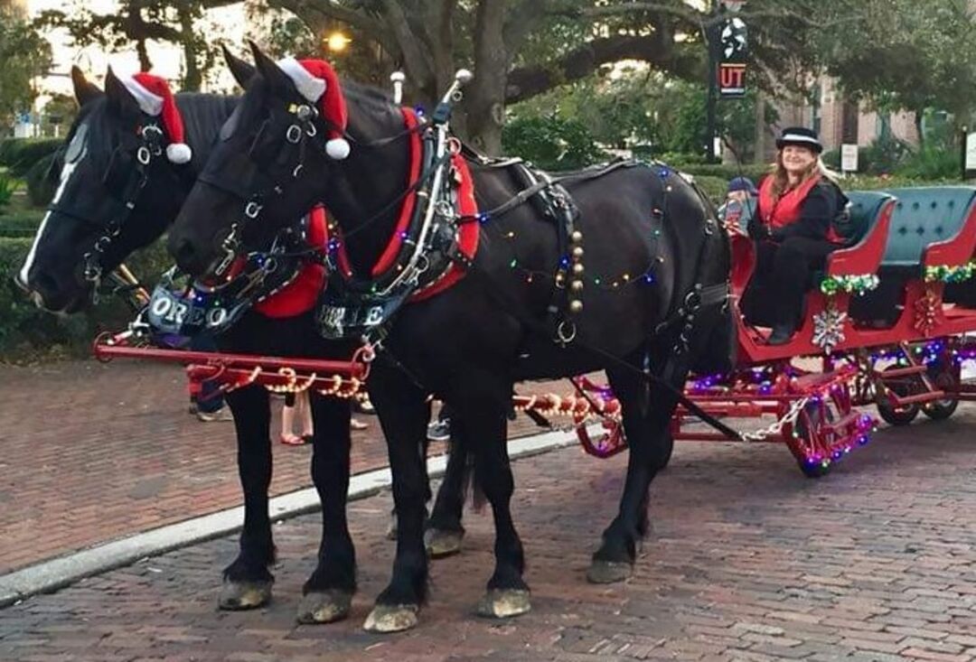 Brooksville Christmas Carriage Ride - credit Brooksville Main Street